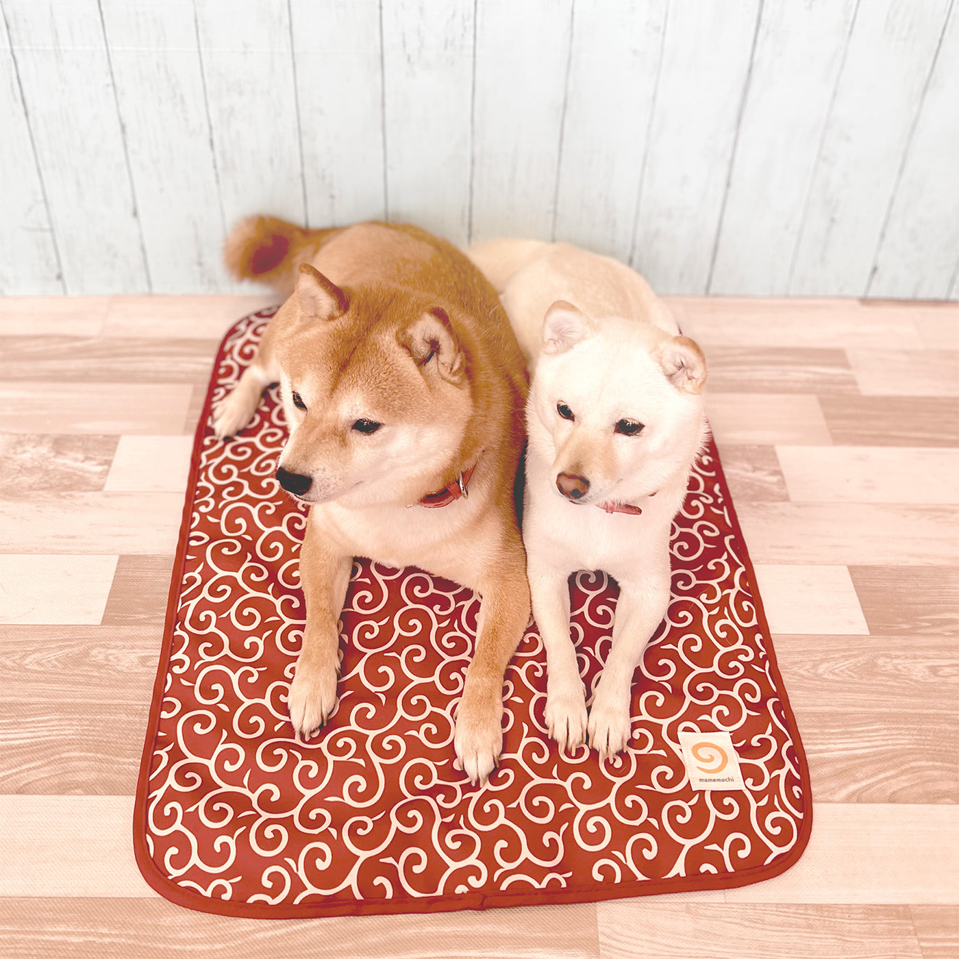 mugicha  ●犬服●ハンドメイド 胴38 NO.721 mugicha ○犬服○ハンドメイド 胴38 NO.721 mugicha 様専用 ○犬服