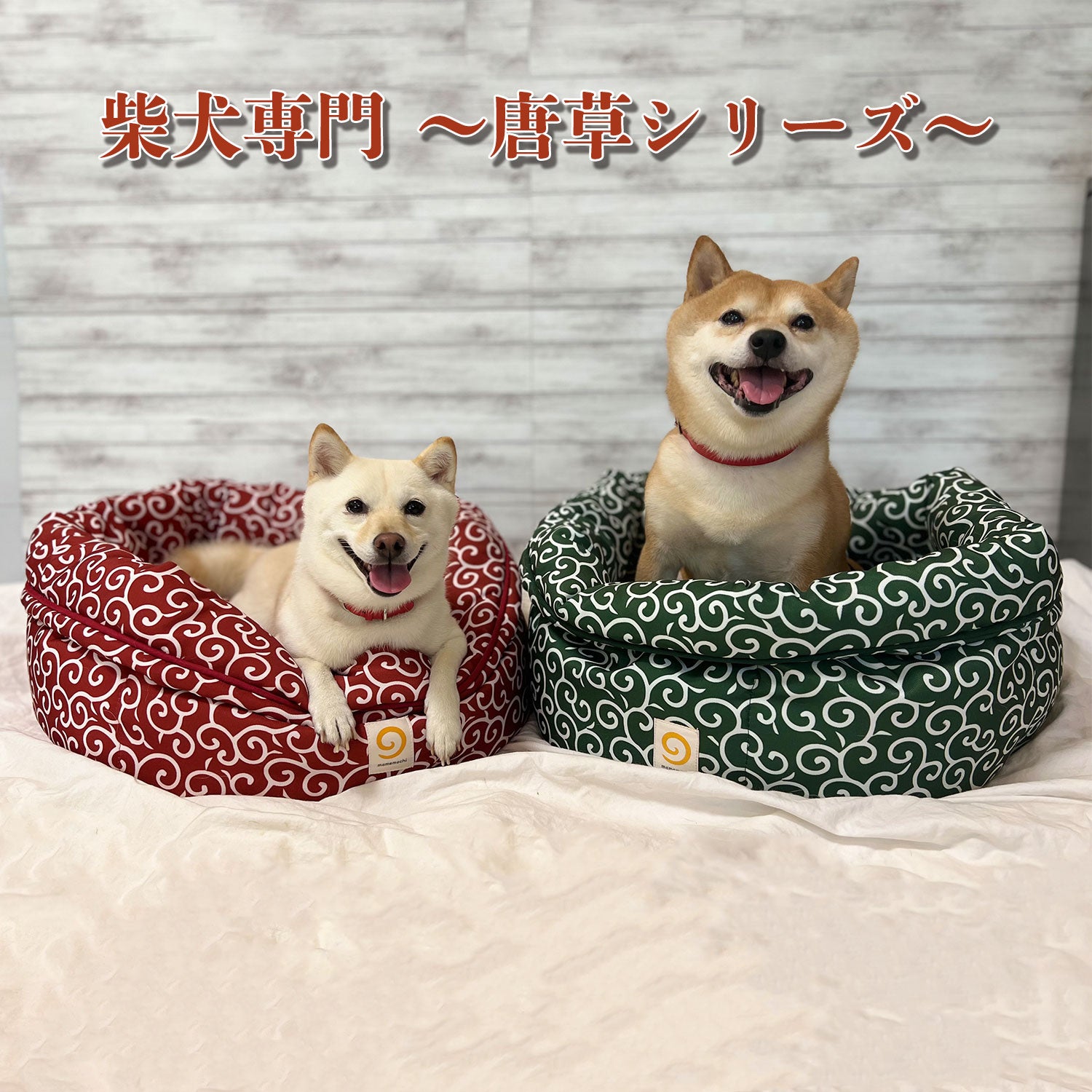 mamemochi mamemochi