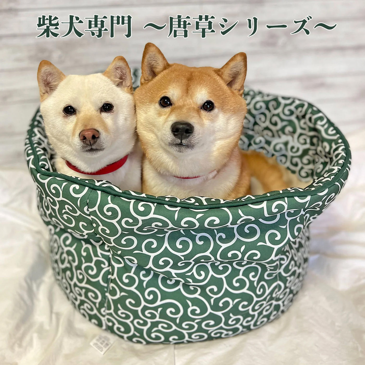 mamemochi 唐草ラウンドベッド 犬服 ペットウェア ペット用品｜MOFF