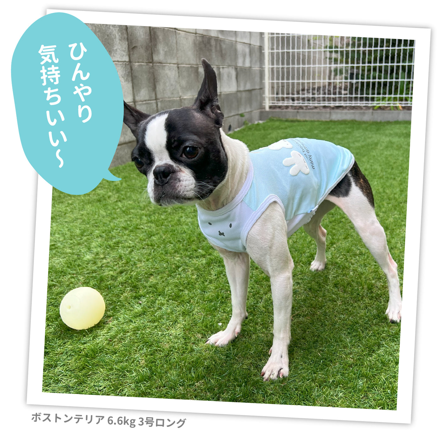 Miffyメッシュタンク 犬服 ペットウェア ペット用品｜MOFF(モフ