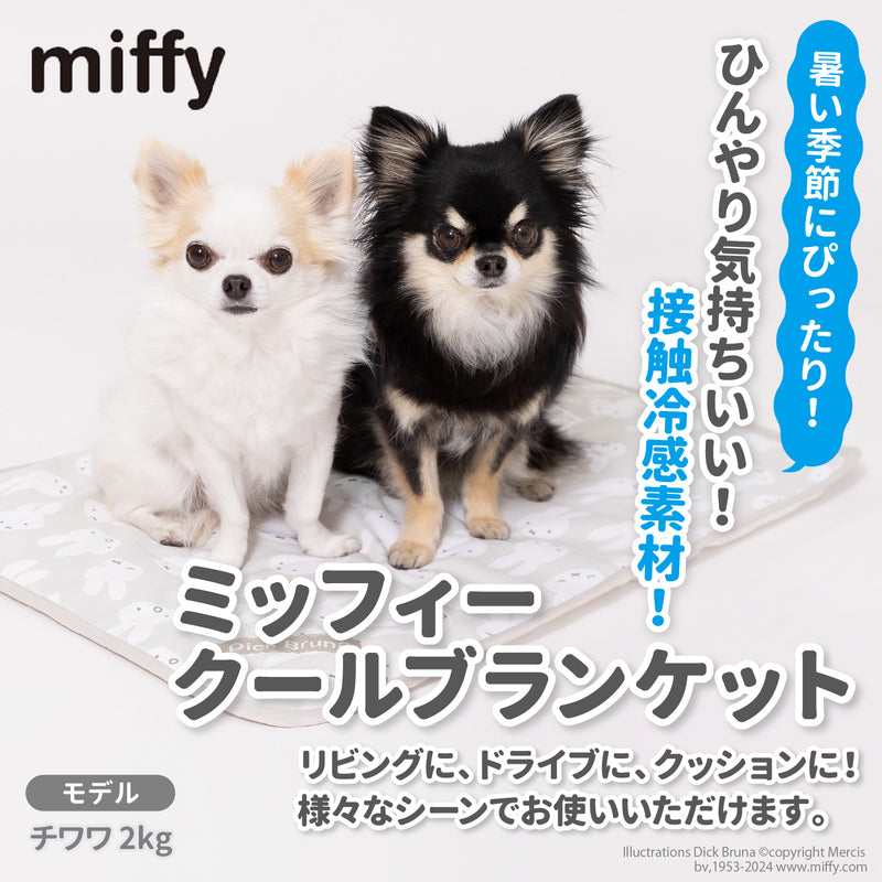 miffy ミッフィー フェイス クール ブランケット MF241-061-002 犬 いぬ ペットブランケット 春夏 接触冷感 冷たい いぬ 犬 イヌ ペット用品 ペット グッズ 用品 ペットグッズ