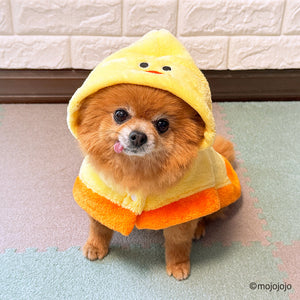 mojojojo ポンチョ トリ  ペット用品 26AW