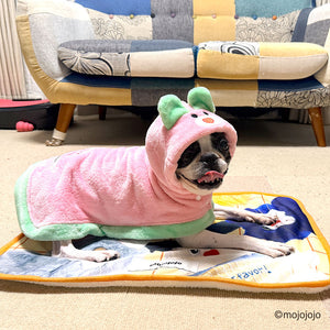 mojojojo ポンチョ ウサギ  ペット用品 26AW