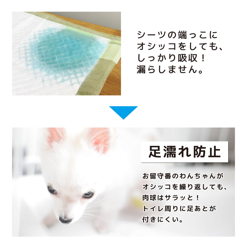 【発売記念 1,000円OFFクーポン！】テープ付きがうれしい厚型ペットシーツ　レギュラー/400枚　ワイド/200枚　スーパーワイド/100枚