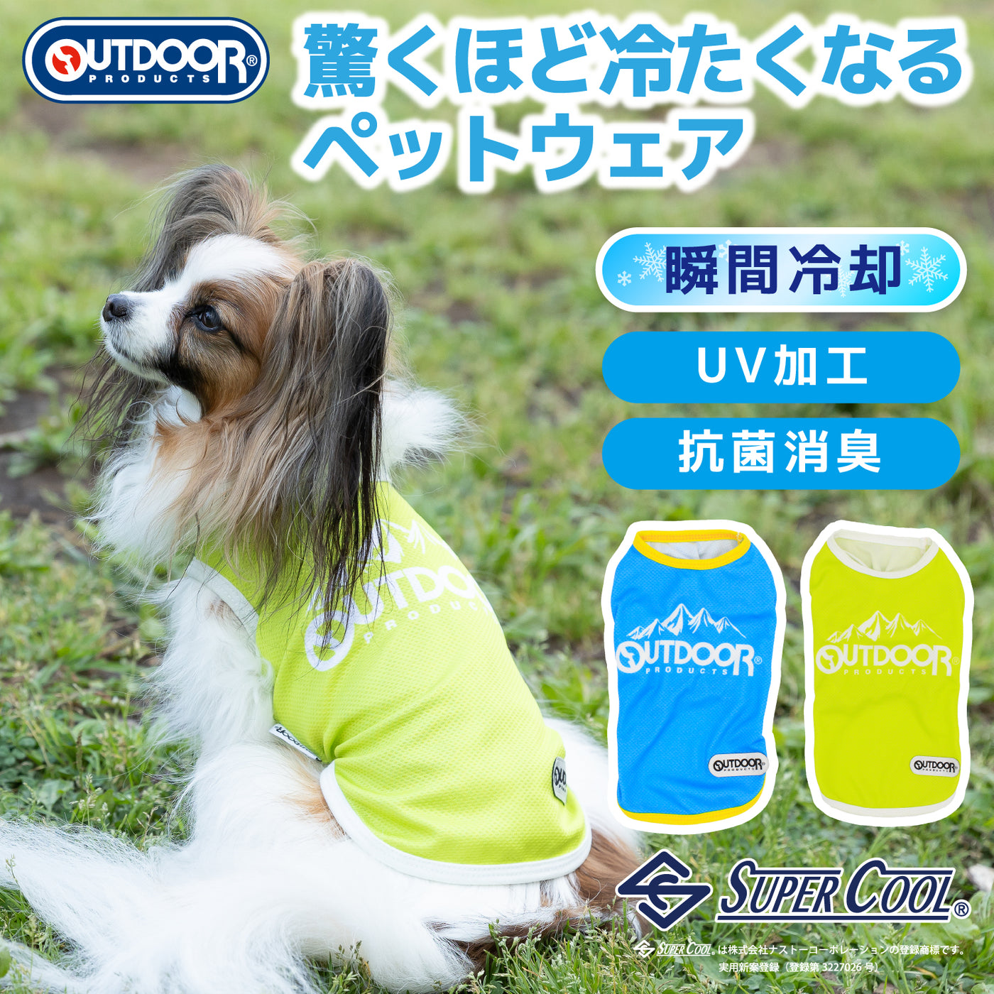 犬 服 販売 クール 加工