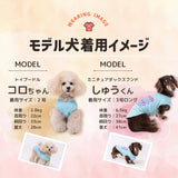 OUTDOOR PRODUCTS ロゴクールタンク ペット用品 26SS