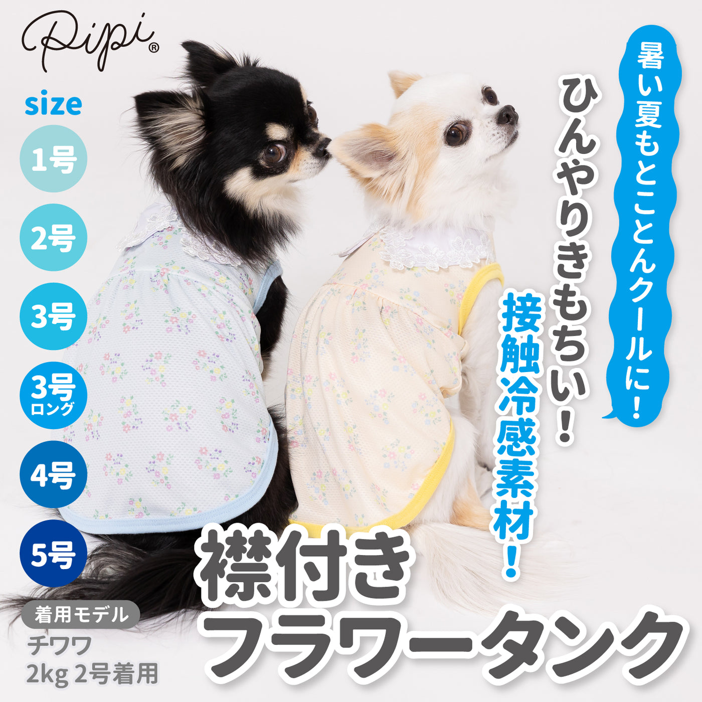 pipi 襟付きフラワー タンクトップ ブルー/イエロー 犬 いぬ 犬服 ペットウェア ドッグウェア 春服 夏服 春夏服 Tシャツ ミニチュアダックス  日焼け対策 接触冷感 ひんやり 冷たい