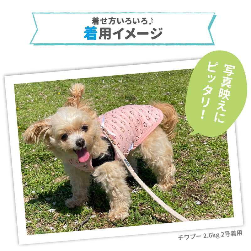 【3点購入で50％OFF】pipi アイレット メッシュ キャミソール サックス/ピンク 犬 いぬ 犬服 ペットウェア ドッグウェア 春服 夏服 春夏服 ミニチュアダックス 日焼け対策 女の子 かわいい おしゃれ