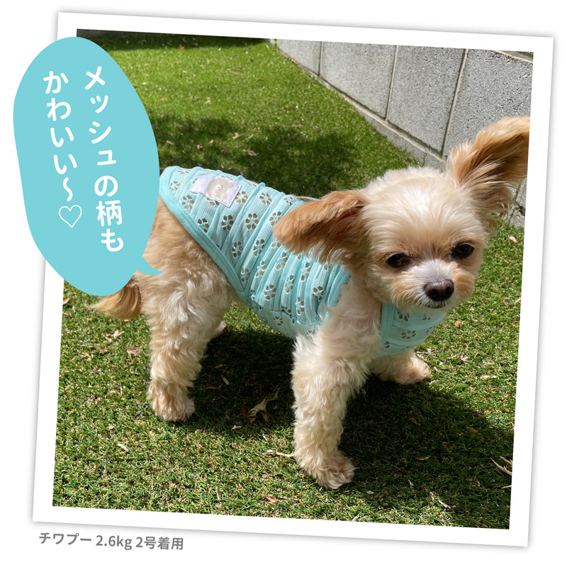 【3点購入で50％OFF】pipi アイレット メッシュ キャミソール サックス/ピンク 犬 いぬ 犬服 ペットウェア ドッグウェア 春服 夏服 春夏服 ミニチュアダックス 日焼け対策 女の子 かわいい おしゃれ