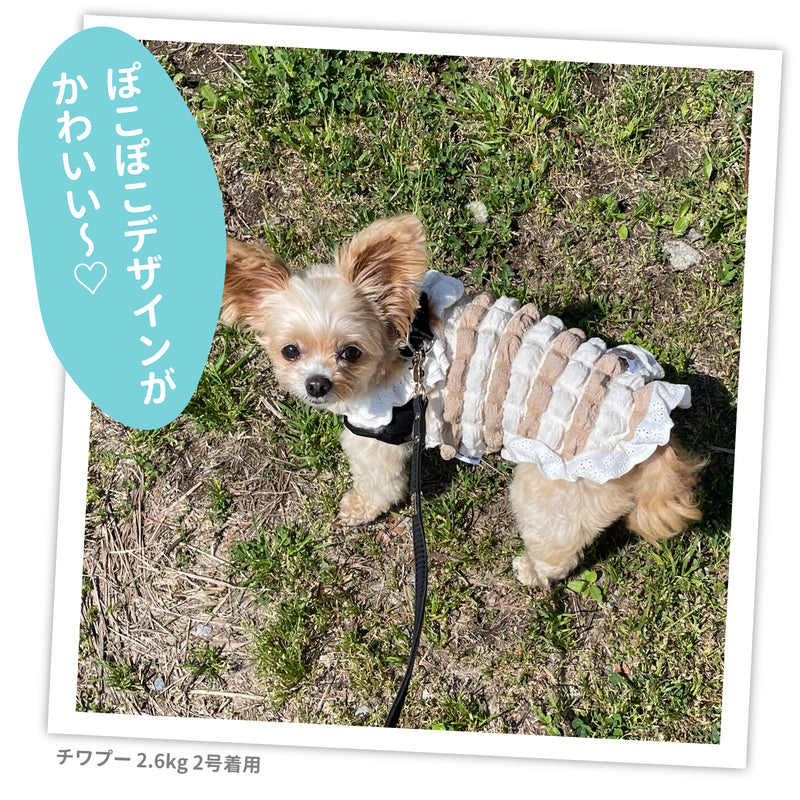 【3点購入で50％OFF】pipi ポップコーン ニット キャミソール ベージュ/ピンク/サックス 犬 いぬ 犬服 ペットウェア ドッグウェア 春服 夏服 春夏服 ミニチュアダックス 日焼け対策 女の子 かわいい おしゃれ