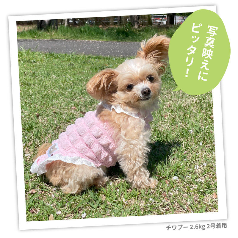 【3点購入で50％OFF】pipi ポップコーン ニット キャミソール ベージュ/ピンク/サックス 犬 いぬ 犬服 ペットウェア ドッグウェア 春服 夏服 春夏服 ミニチュアダックス 日焼け対策 女の子 かわいい おしゃれ