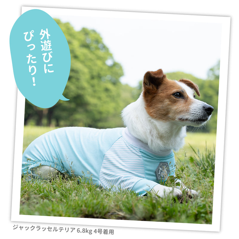 PiPi虫よけメッシュロンパース 犬服 ペットウェア ペット用品｜MOFF(モフ) 犬服 ドッグ ペットウェア ショップ – PET  LIFESTYLE MOFF