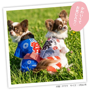 pipi お祭りはっぴ ペット用品 26SS