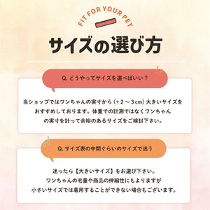 【PET THREE】防虫 Tシャツ ペット用品 26SS