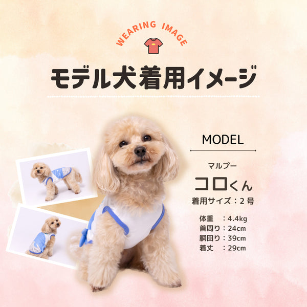 pipi – PET LIFESTYLE MOFF