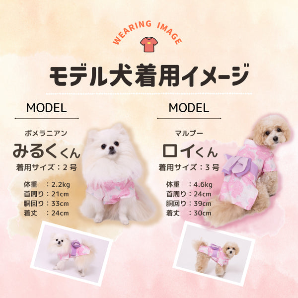 pipi – PET LIFESTYLE MOFF