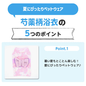 pipi 芍薬柄浴衣 ペット用品 26SS