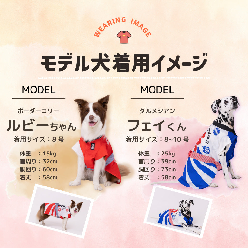ぴぴ　犬服　ハンドメイド pipi