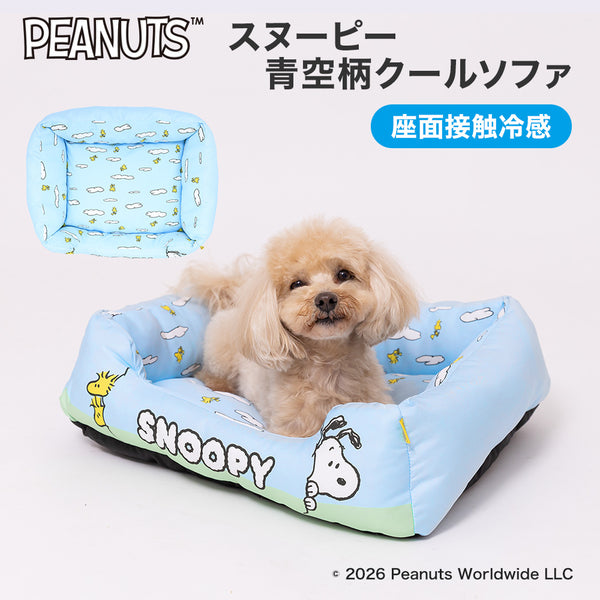 COJI-COJI -コジコジ- – PET LIFESTYLE MOFF