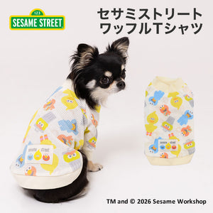 【SESAME STREET】セサミストリート ワッフルTシャツ 26AW
