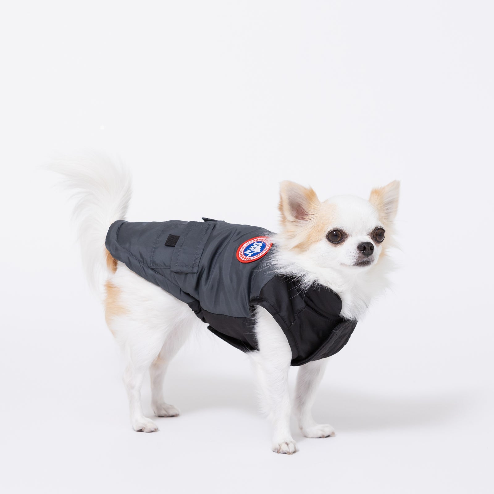 ダウンベスト 犬服 ペットウェア ペット用品｜MOFF(モフ) 犬服 ドッグ ペットウェア ショップ – PET LIFESTYLE MOFF