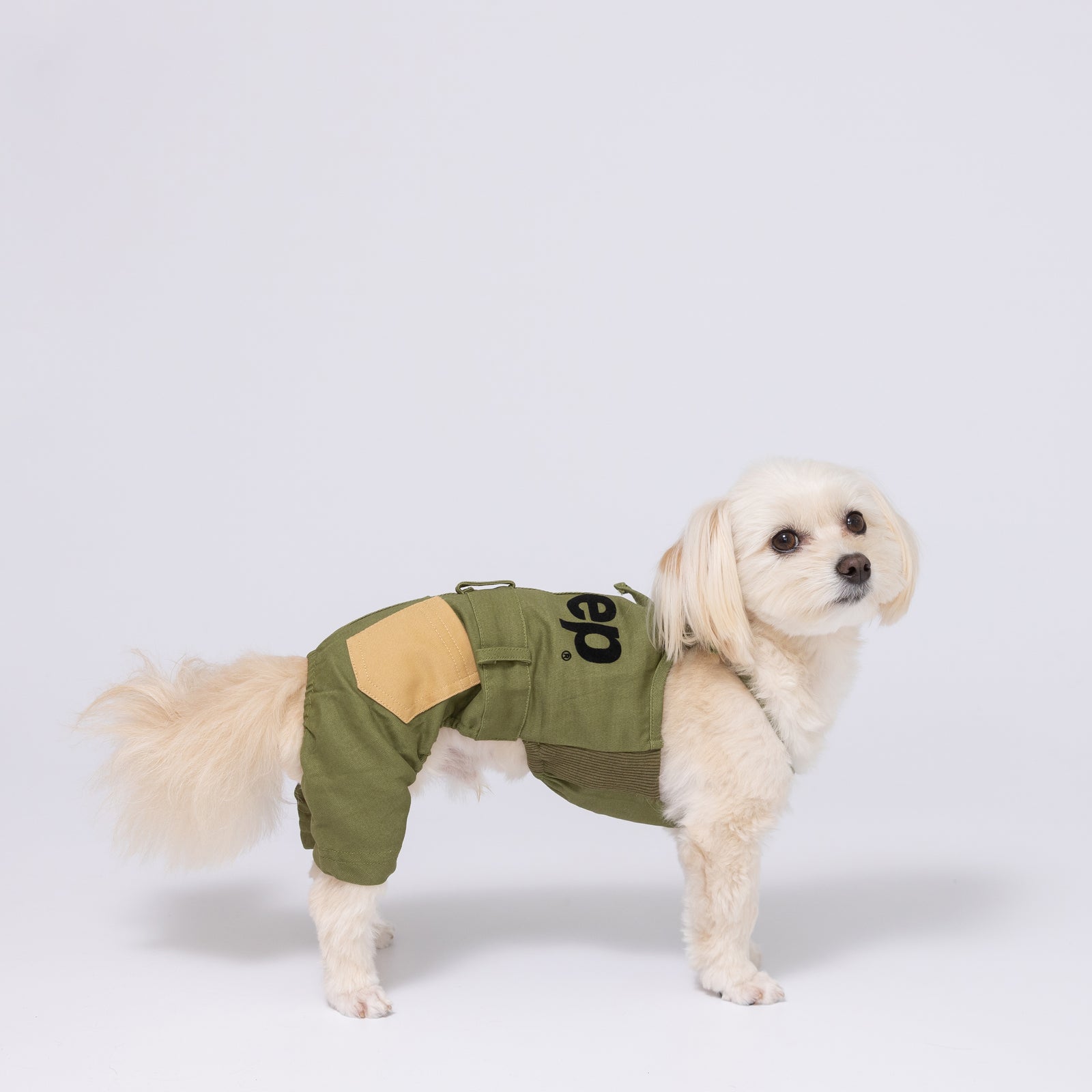 楽天市場】【LINE追加10%OFFクーポン】moncheri モンシェリ 犬
