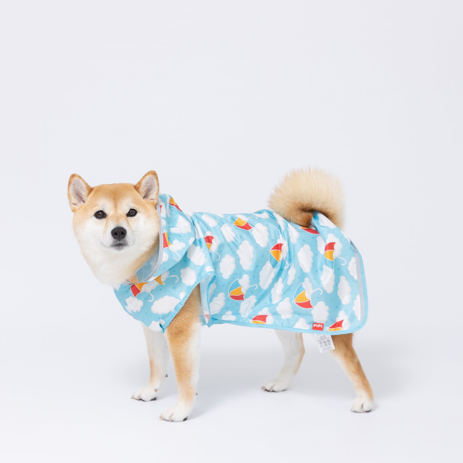 20230401_1E1A9435_1600x.jpg?v=