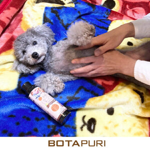 ボタピュリ(BOTAPURI)　トイプードル専用　臭い取りローション