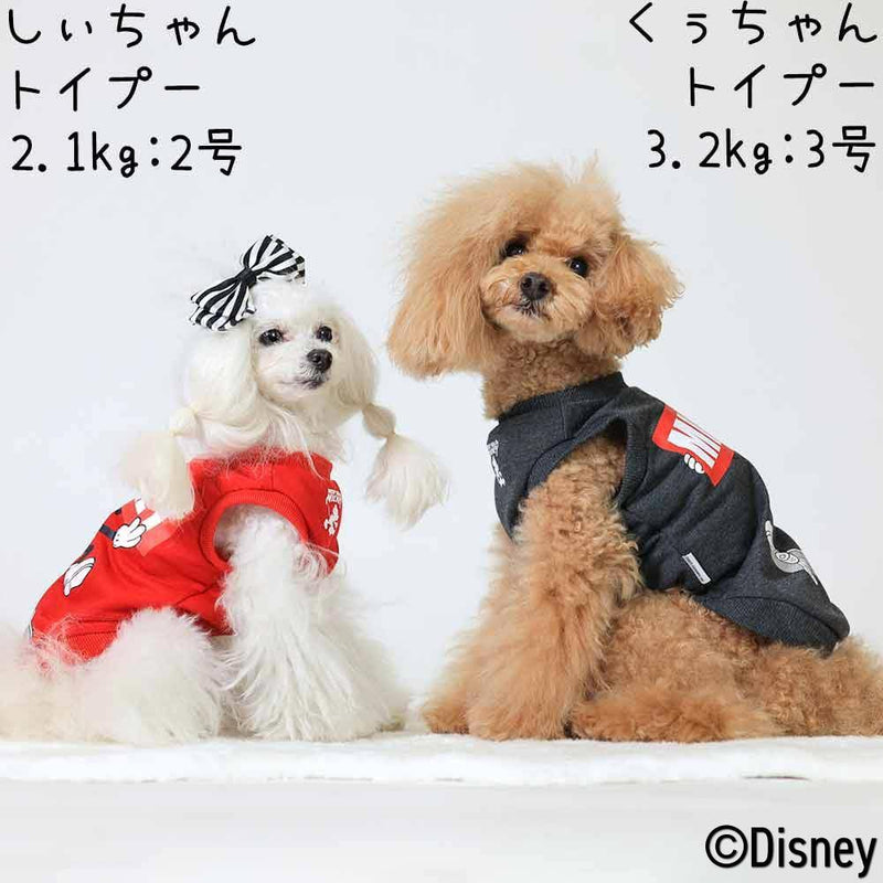 Disney ディズニー <ミッキー>スケボートレーナー DS202-022-106 - MOFF