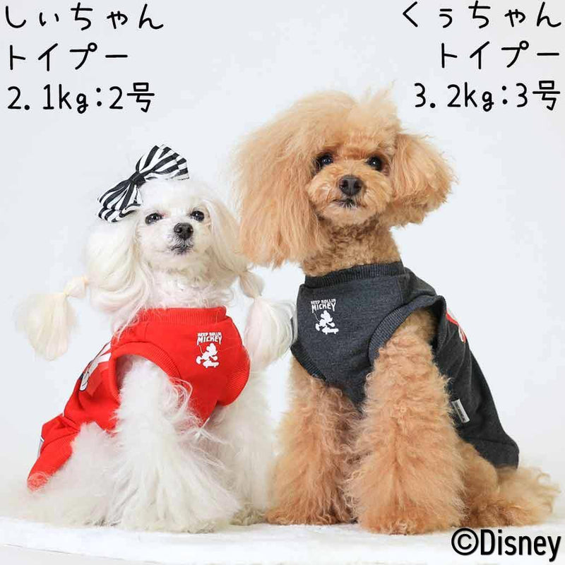 Disney ディズニー <ミッキー>スケボートレーナー DS202-022-106 - MOFF