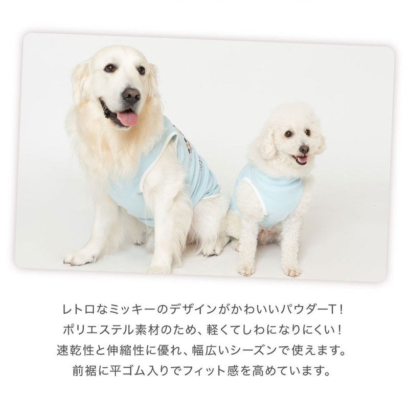 Disney ディズニー DineyパウダーT