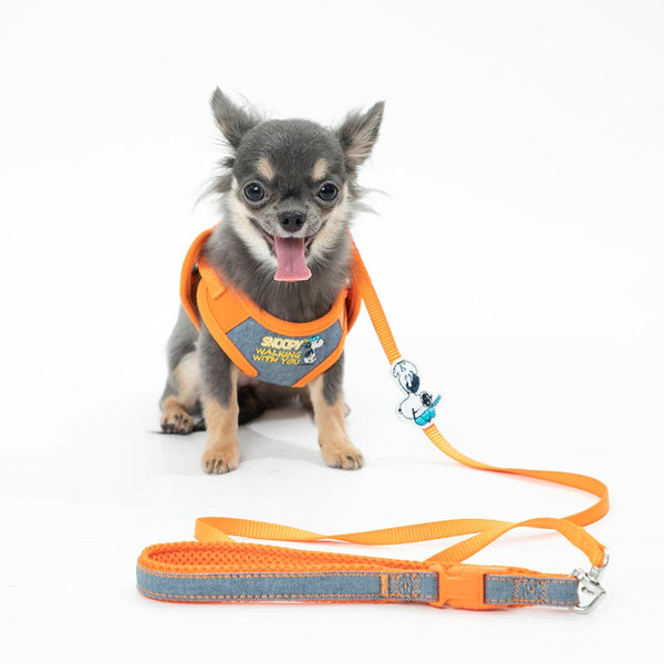 WEILF YONK 犬ハーネス　Sブルー　リード付き WEILF YONK 犬ハーネス Sブルー リード付き