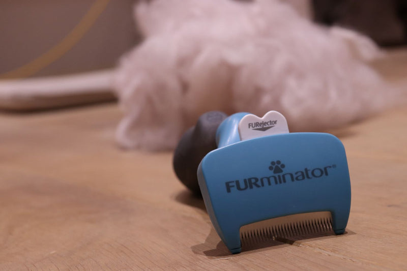 FURminator ファーミネーター大型猫L 短毛種用