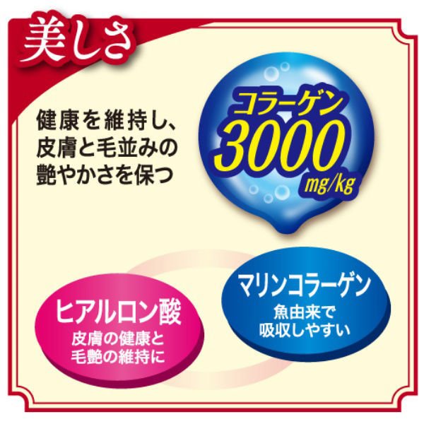 日本ペットフード ビューティープロ キャット 下部尿路の健康維持 １歳から チキン味 １．４ｋｇ / 猫 ねこ キャットフード プレミアムフード 主食 国産 健康