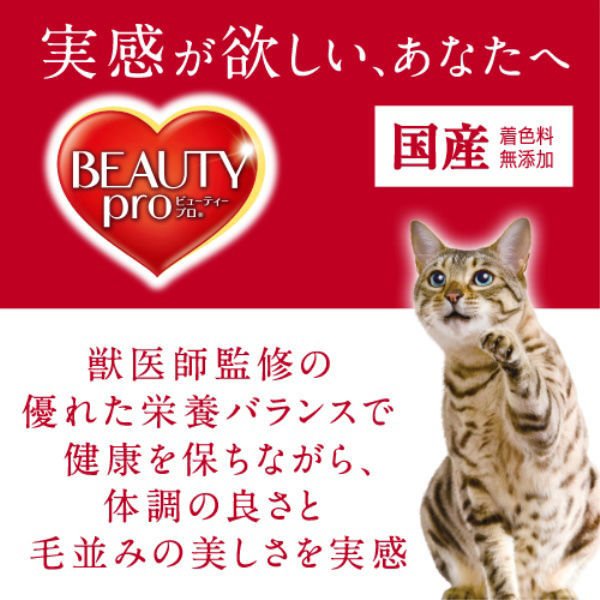 日本ペットフード ビューティープロ キャット 避妊・去勢後用 １．４ｋｇ / 猫 ねこ キャットフード プレミアムフード 主食 国産 健康