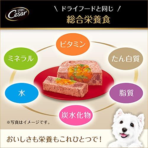 cesar シーザー ラム ヤサイ 100g×24個