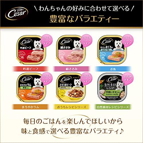 cesar シーザー 11サイ チキンハ゜ンフ゜キン100g×24個