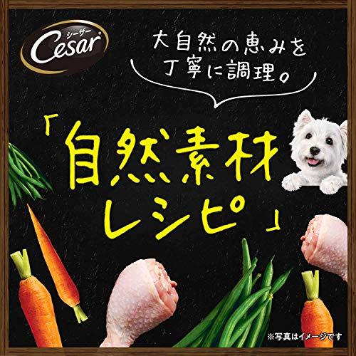 cesar シーザー 自然素材レシピ ビーフ ＆チーズ・いんげん 85ｇ×28