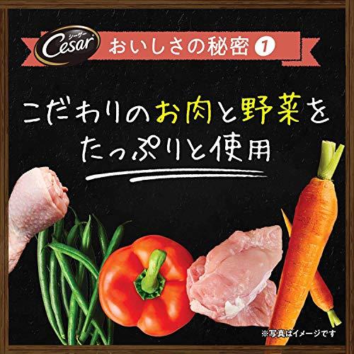 cesar シーザー 自然素材レシピ ビーフ ＆チーズ・いんげん 85ｇ×28
