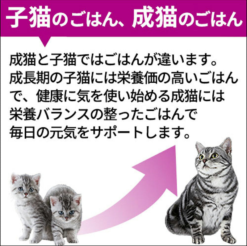 カルカン パウチ 海の幸ミックス まぐろ・白身魚・さけ入り ７０ｇ ８袋パック / 猫 ねこ キャットフード パウチ ウェットフード 総合栄養食