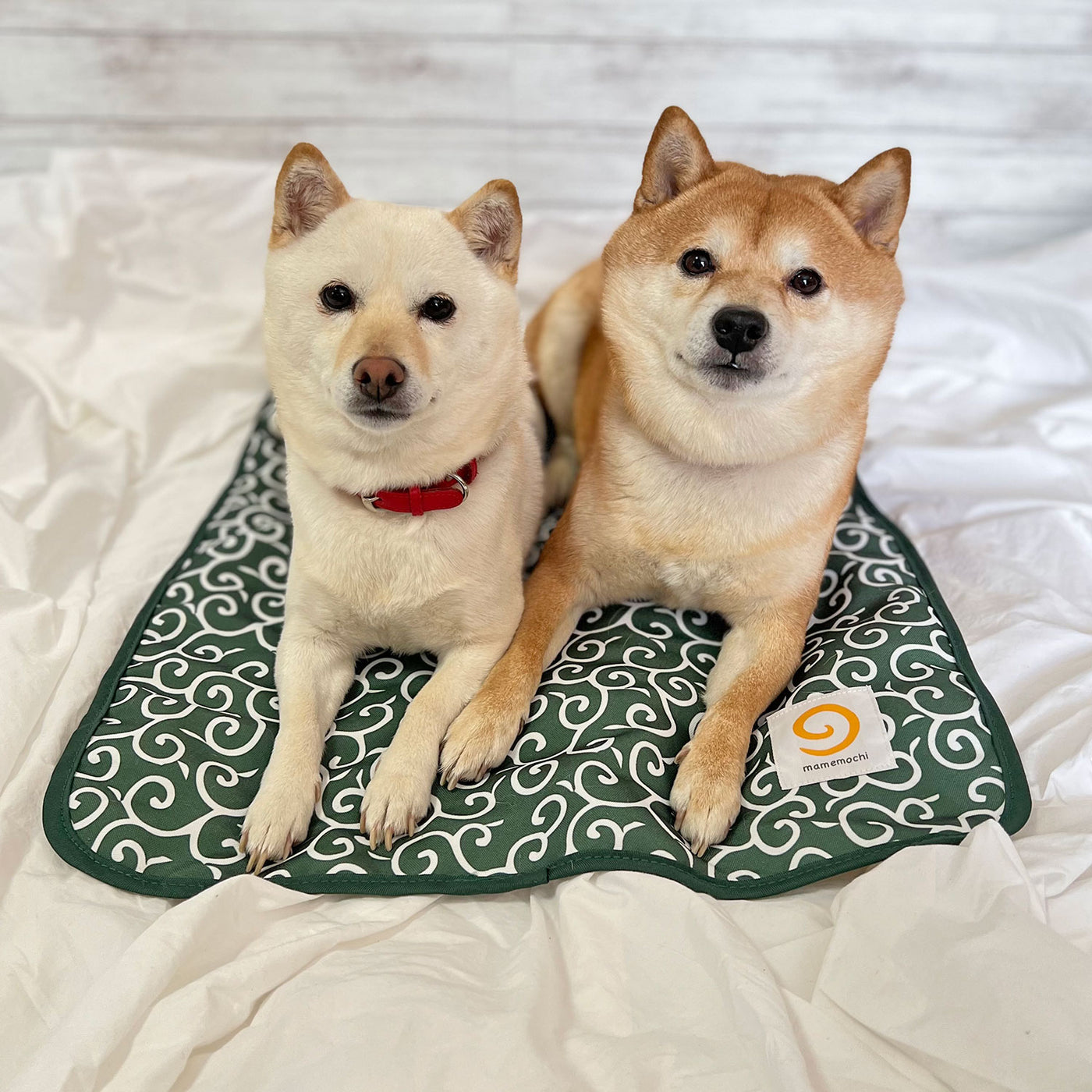 mamemochi 唐草ラウンドベッド 犬服 ペットウェア ペット用品｜MOFF