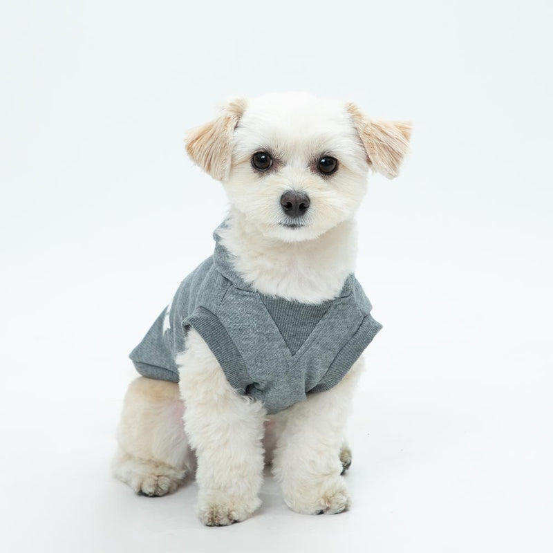 PEANUTS SNOOPY スヌーピー スケボー パーカー 犬服　ペット用品 パーカー