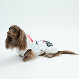 PEANUTS SNOOPY スヌーピー スケボー パーカー 犬服　ペット用品 パーカー